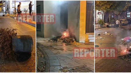 cats_0w0W3X3.width-750