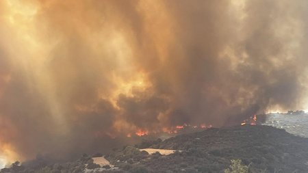 364228110_300363742664377_1760991828442110695_n