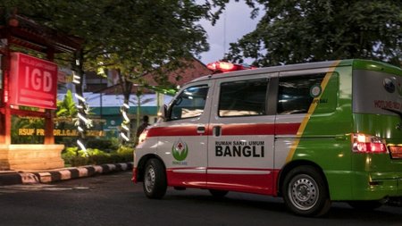 indonisia-asthenoforo