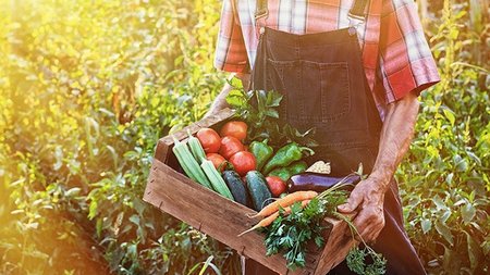 ΑΓΡΟΔΙΑΤΡΟΦΙΚΑ ΠΡΟΪΟΝΤΑ