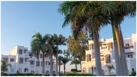 Ανακοινωθέν ΠΑΣΥΞΕ - CHA Press Release 4-6-24