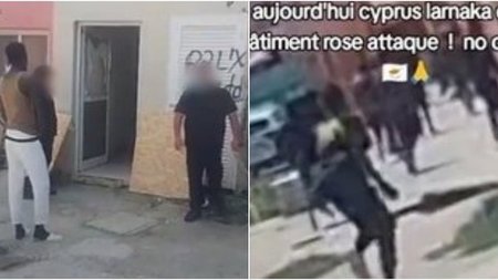 collage_f3n1BE2.width-750