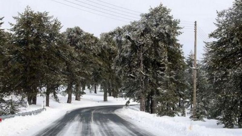 b_troodos