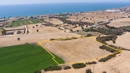 MixCollage-29-Feb-2024-12-10-PM-2794