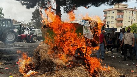 DOC.20240523.6717368.tk-ktimotrofoi1