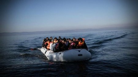 metanastes1-9-696x435