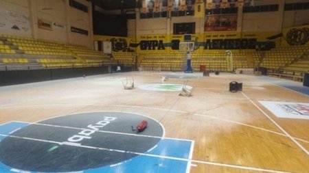 cats_7dDEkjG.width-750