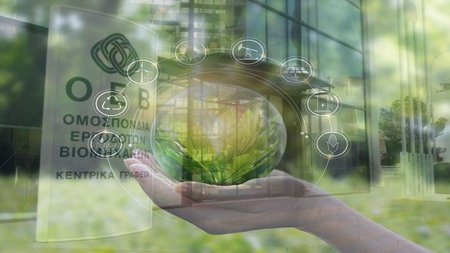 ΕΝΕΡΓΕΙΑ ΚΑΙ ΠΕΡΙΒΑΛΛΟΝ-ΟΕΒ