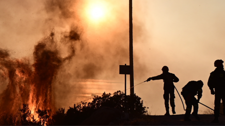 c68067d72a96cddafbfe5f506654cc74