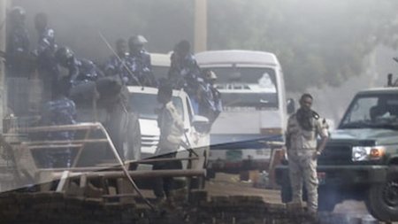 1490531-soudan-taraxes-930-2