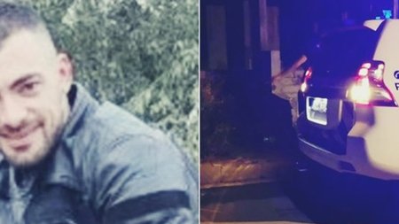 cats_3v8oh5R.width-750