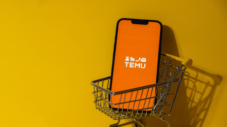 Everything-You-Need-To-Know-About-Temu-Dropshipping
