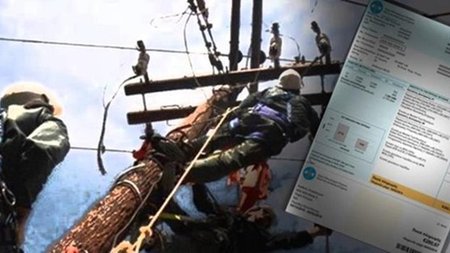 cats_nJUG2rJ.width-750