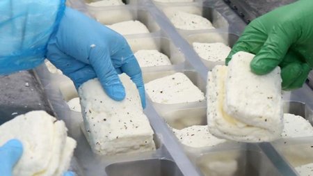 cache_980x637_Crop_medium_498569_357230_22_07_13_114747