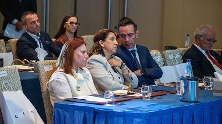 ΠΙΚΗ ΔΑΜΙΑΝΟΥ