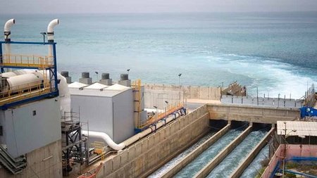 cats_A0AWOnV.width-750