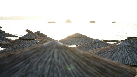 daniela-holzer-Anr9SQuxztM-unsplash