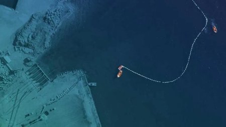 cats_fHZiHB3.width-750