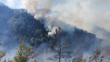 417440569_7915790021835133_6383754593920361874.width-800