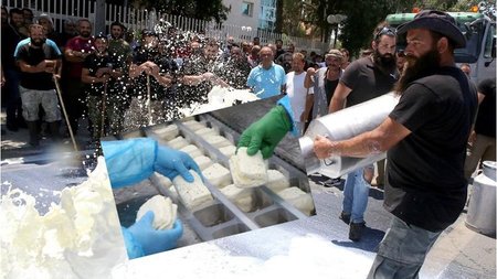 ΑΙΓΟΠΡΟΒΑΤΟΤΡΟΦΟΙ ΧΑΛΛΟΥΜΙ