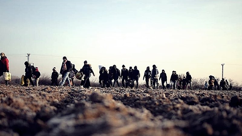 cache_1500x3000_Analog_medium_1205229_51465_162021