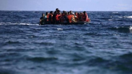 metanastes-1-735x375