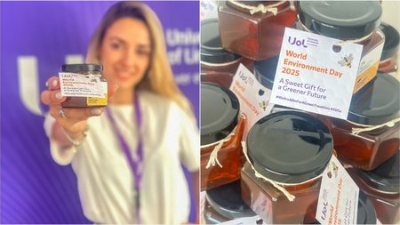 MixCollage-06-Jun-2025-10-29-AM-2228