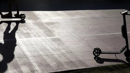 cats_bV8DBP6.width-750