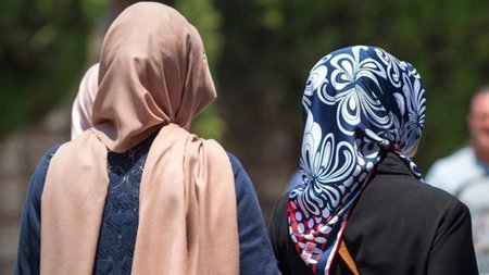 cats_TaR62Ed.width-750