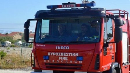 pirosvestiki270555-1