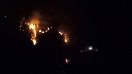 DOC.20230724.5294144.fotia-pafos.width-800