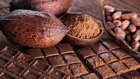 cacao1