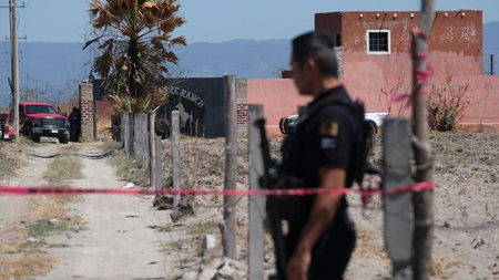 7bf386a7-AP25070763315950