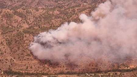 Palaikhori_endiamese_1.width-800