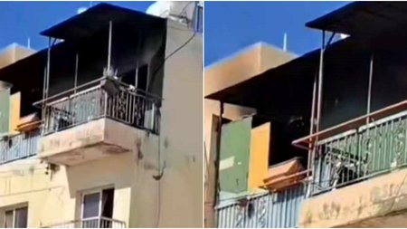 lemesos pentamelis oikogeneia