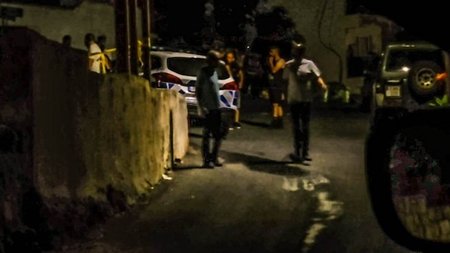 Fonos-pegia-780x450.width-800