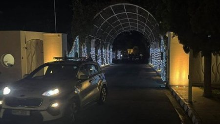 cats_yQhq8p6.width-750