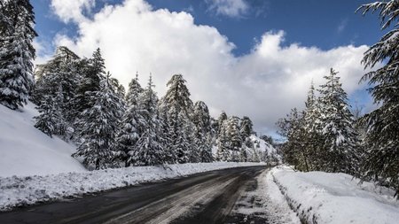 32876-sitesdefaultfilesgm0_1527_F.2e16d0ba.fill-1375x729