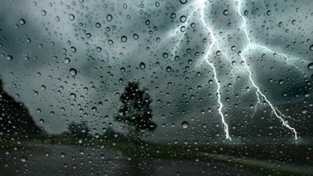 cache_980x637_Crop_medium_588433_81343_23_02_01_065142