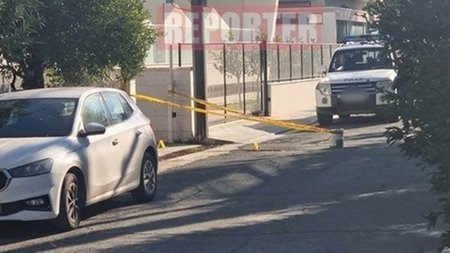 cats_v6w6N0P.width-750