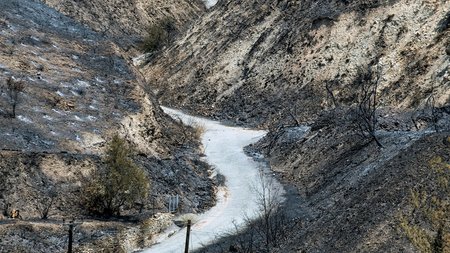 DOC.20250730.8829883.DSC_0716