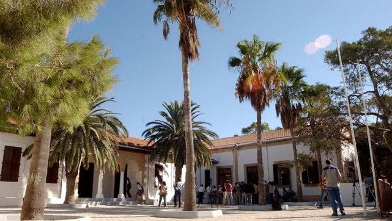 cats_ptdDWXW.width-750