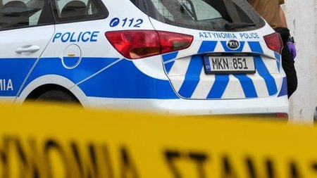 cats_wrHRM2T.width-750