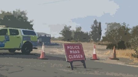 cats_6O54uod.width-750