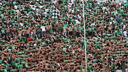 437886657_980100780787871_8624565012895175248_n