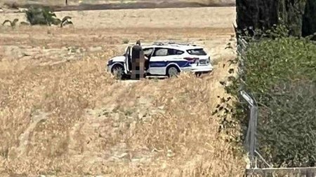 cats_zk0Ywsa.width-750