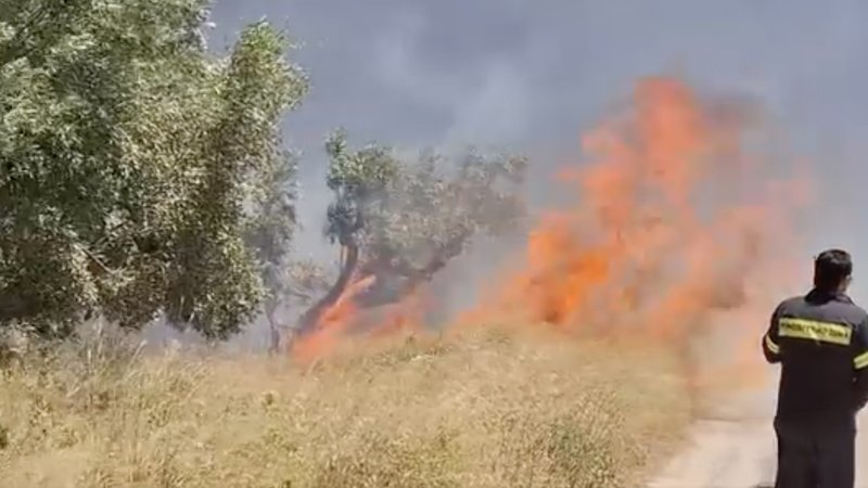 Screenshot-2024-06-19-at-14.30.02