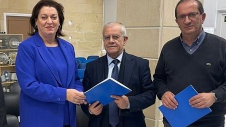 cats_lapj6pi.width-750