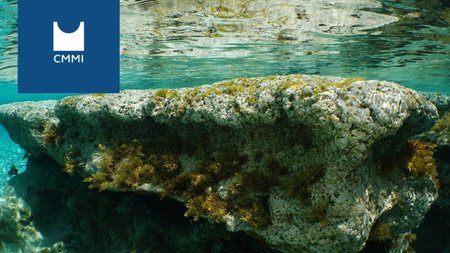 MixCollage-08-Jul-2024-11-26-AM-7699