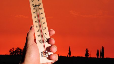 kayswnaw_ergasia_10_7_2023